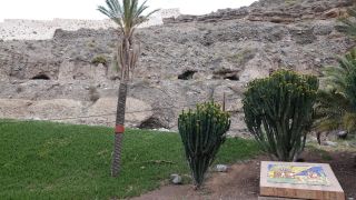 2022-03-GranCan-Las_Palmas-Santa_Ana--Doramas-PM-NN-067.JPG